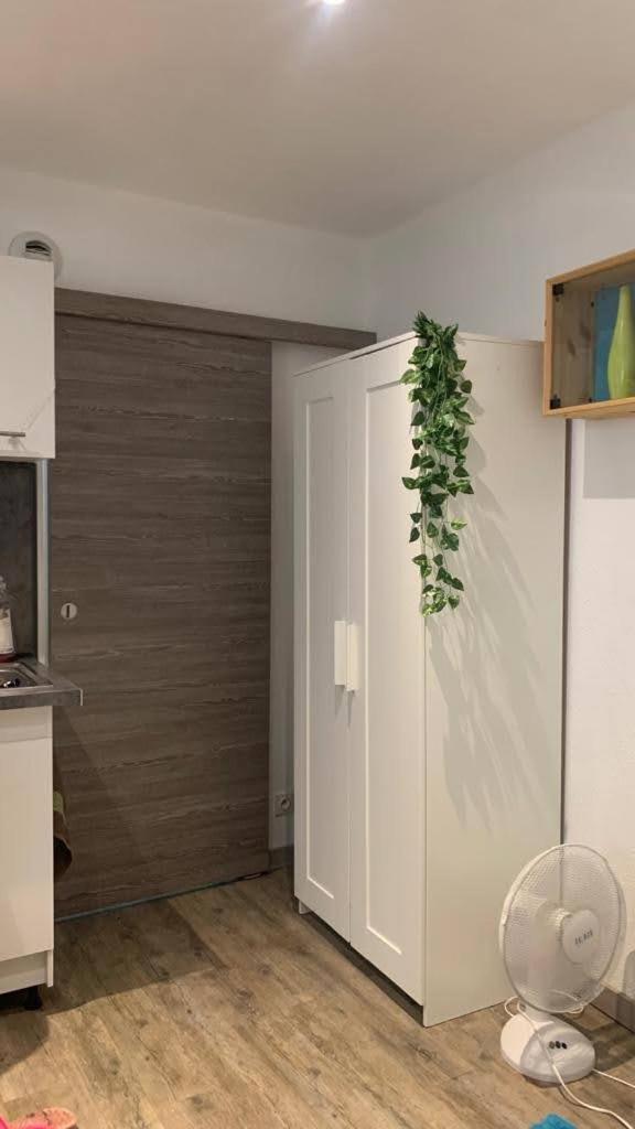 Studio 24M2 Intra-Muros Avignon Bagian luar foto